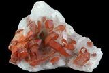 Natural, Red Quartz Crystal Cluster - Morocco #80562-1